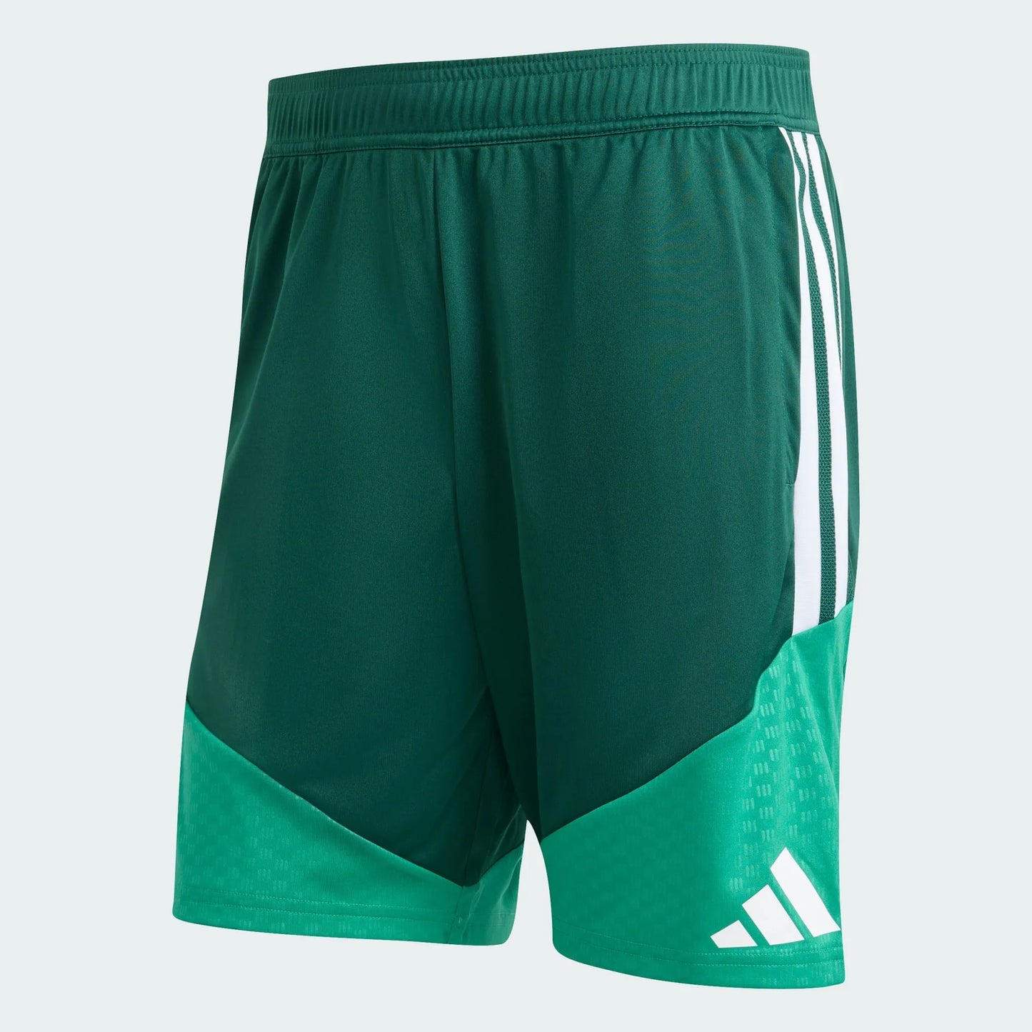 Shorts Algeria 2026 I Treino Copa do Mundo