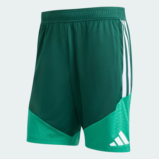Shorts Algeria 2026 I Treino Copa do Mundo